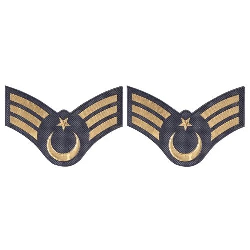 ASAYİŞ TPU JANDARMA ASTSUBAY KIDEMLİ ÇAVUŞ RÜTBE 